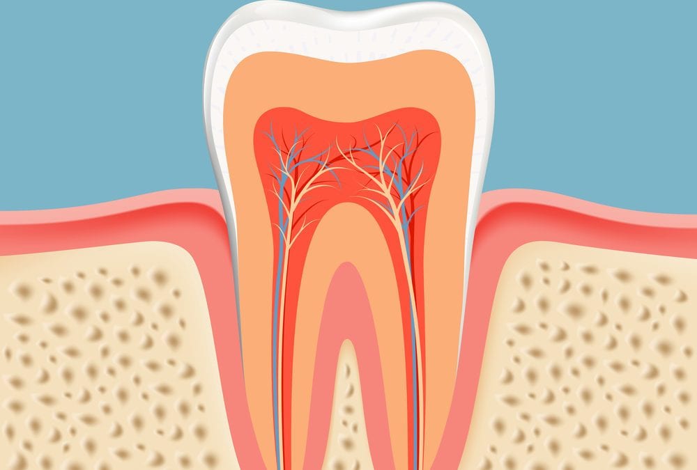 Root Canals, Laraway Family Dentistry, Family Dentist in the Woodlands, TX